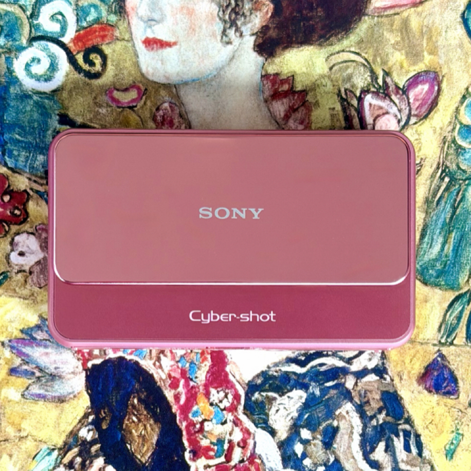 Sony Cybershot DSC T110 | Soho camera