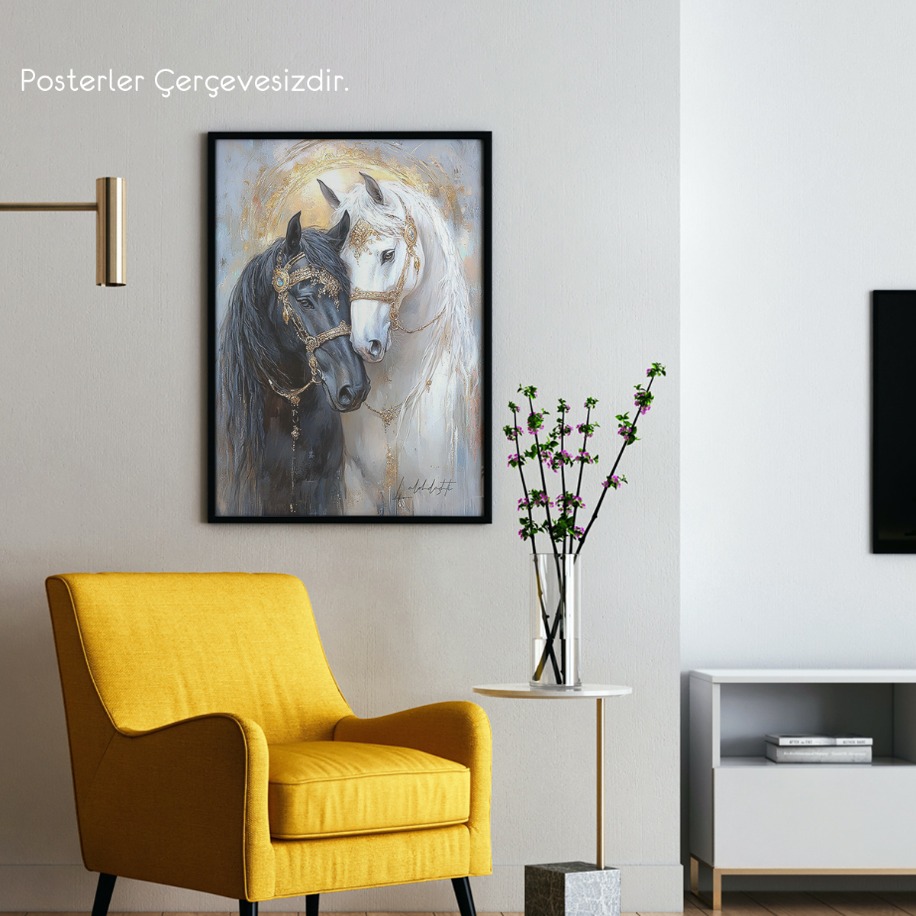 Beyaz ve Siyah At Posteri