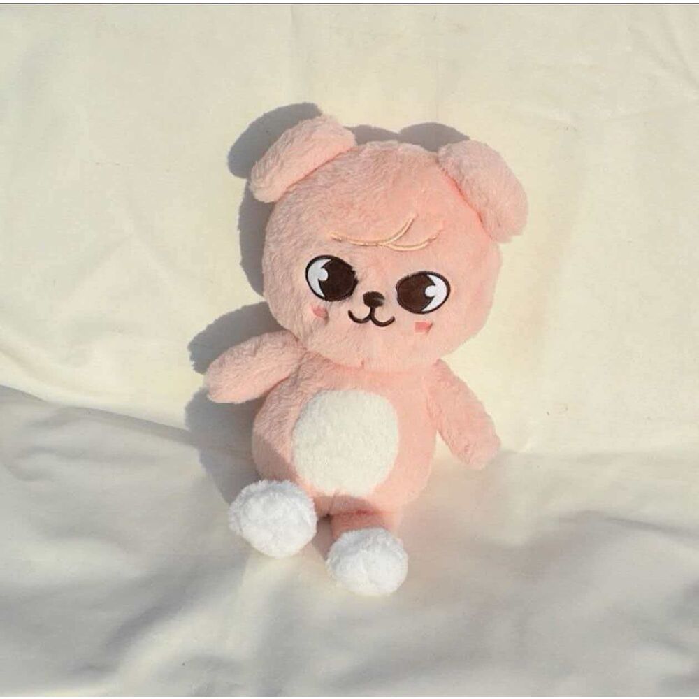 ÖnSipariş) Stray kids Teddy bears Skzoo peluş | taySN