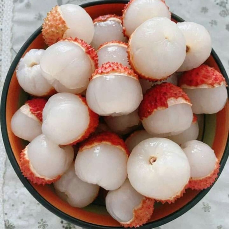 Lychee-Kral Meyvesi Fidanı 1 Adet