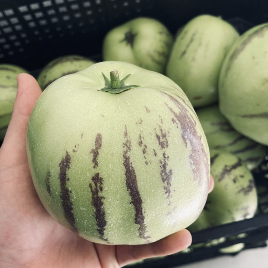 Dalından Taze Pepino Meyvesi 1 Kg