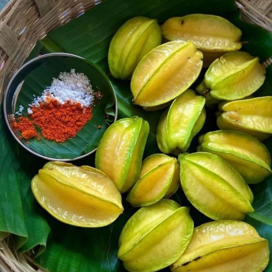 Yıldız Meyvesi-Star Fruit-Carambola Meyvesi Fidanı 1 Adet