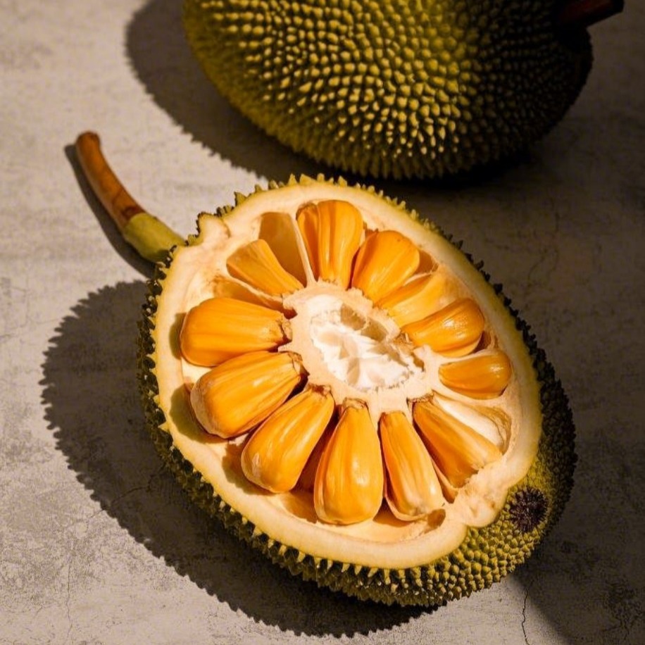 Jack Fruit Meyvesi Fidanı 1 Adet 