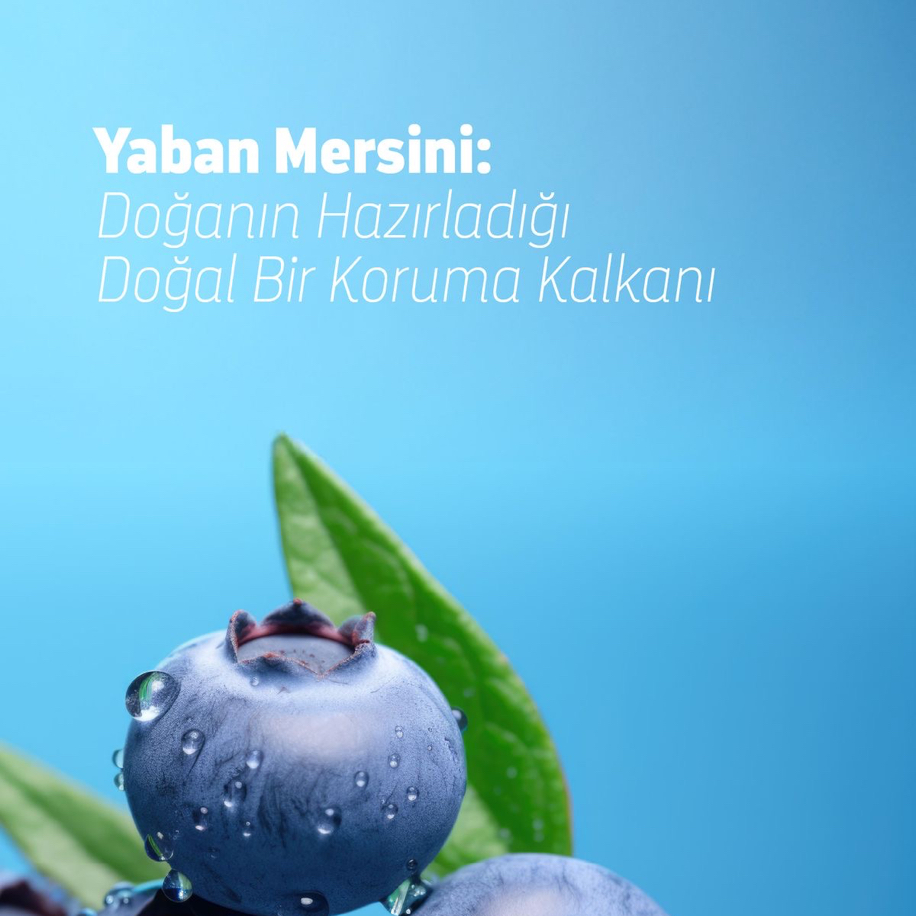 Yaban Mersini Meyvesi Fidanı 1 Adet