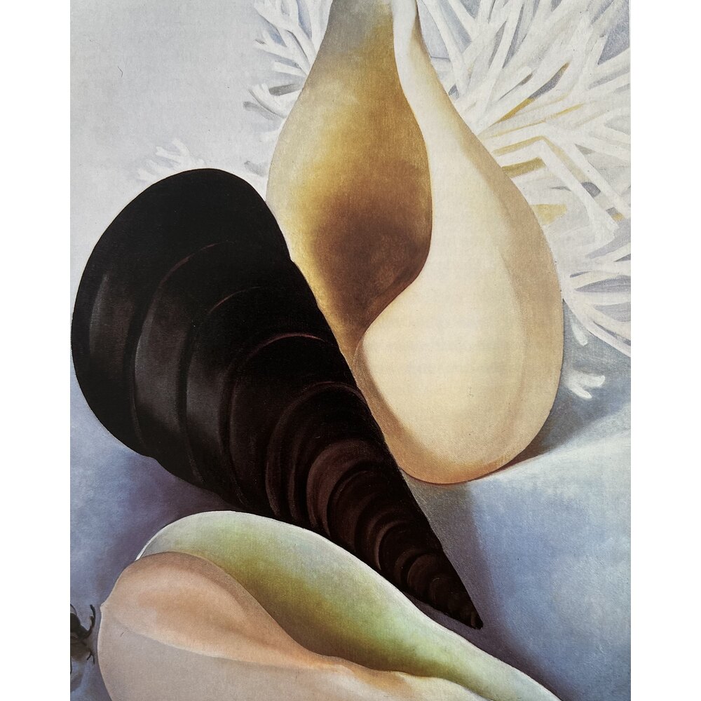 The Art & Life of Georgia O'Keeffe | Vintage Istanbul Edits