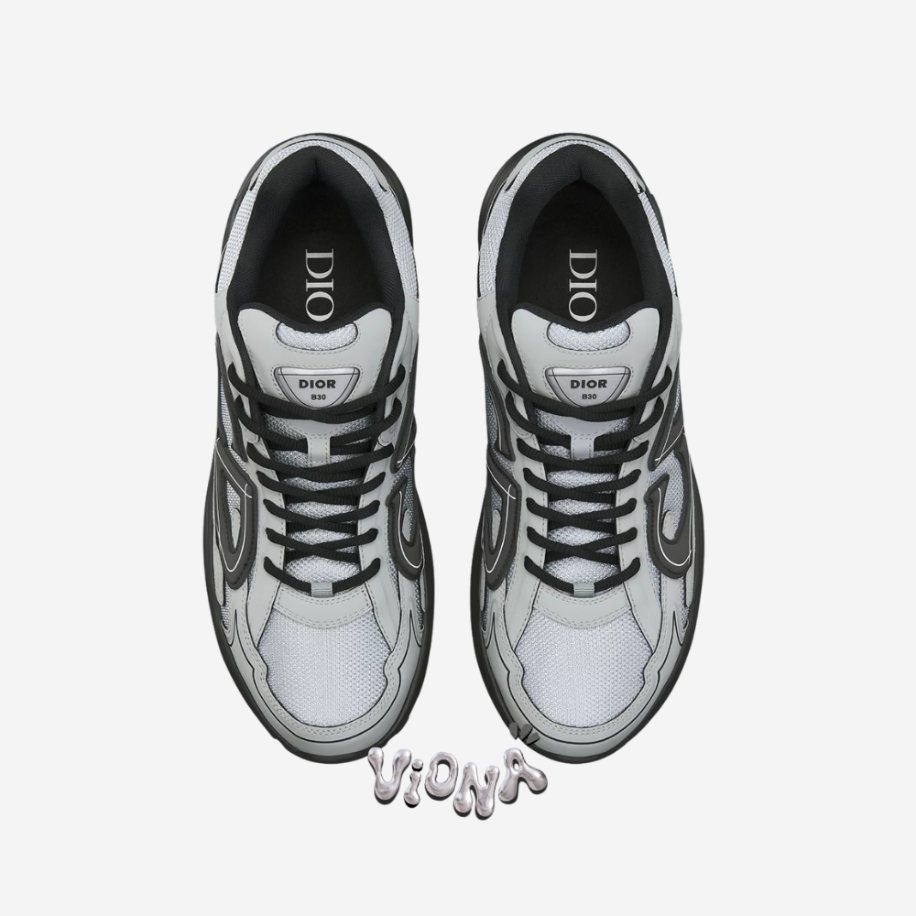 Dior B30 Countdown Grey