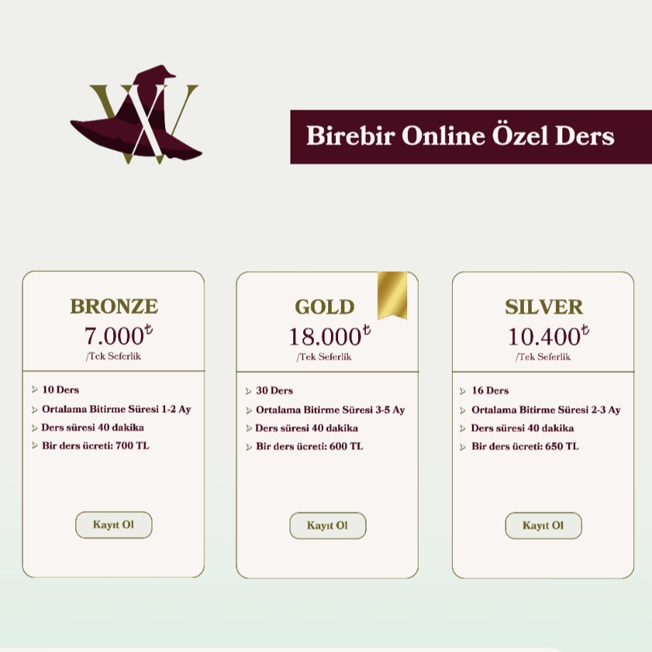 Birebir Online İngilizce Dersleri