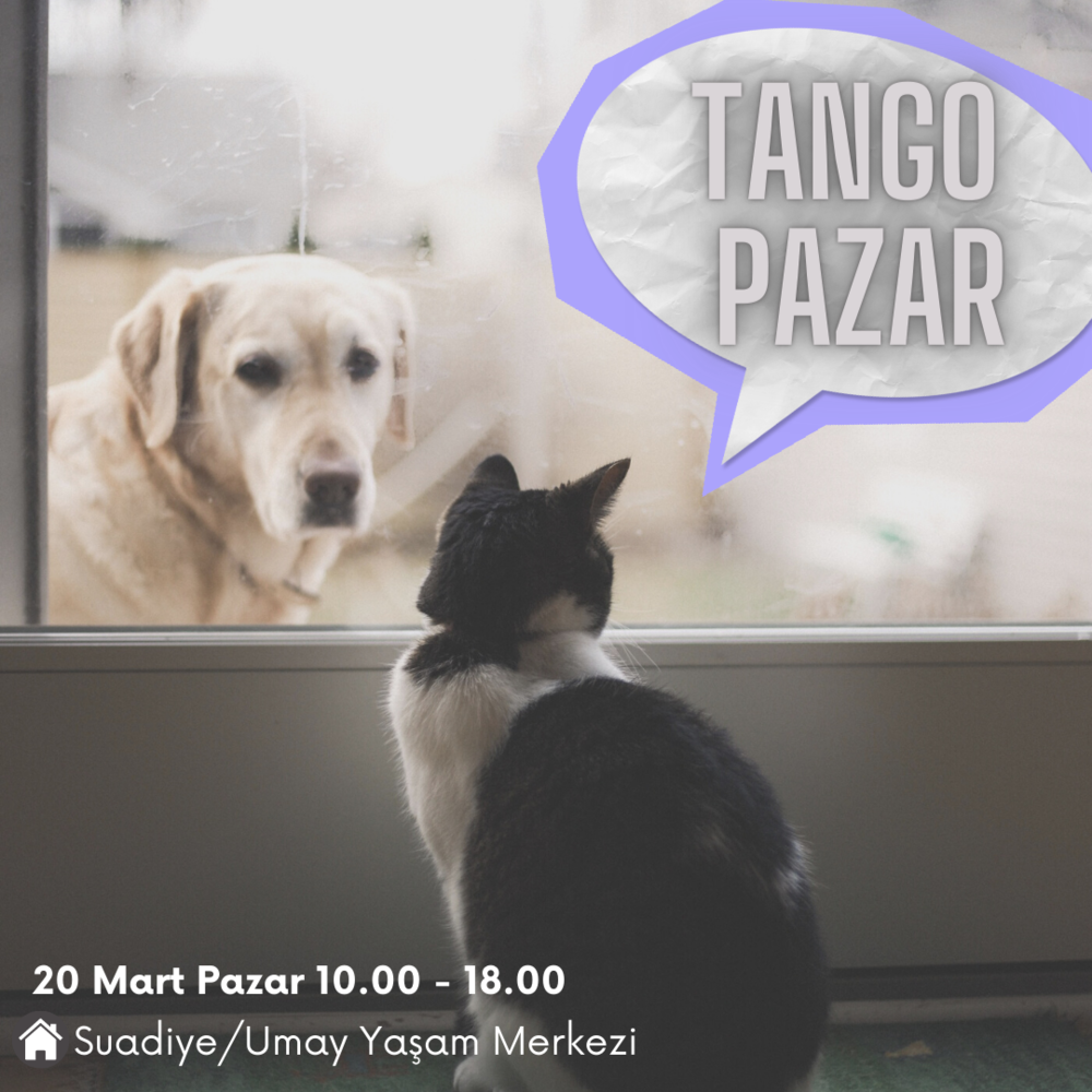 Tango, kıyafet, aksesuar: Tango Pazar
