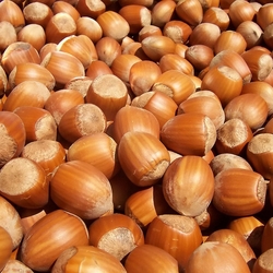 Kabuklu Fındık (1 Kg)