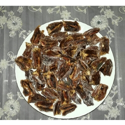 Hurma Kurusu (Artvin)  1 Kg