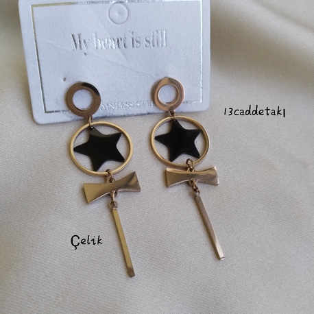ÇELİK YILDIZLI FİYONKLU SALLANTILI KÜPE