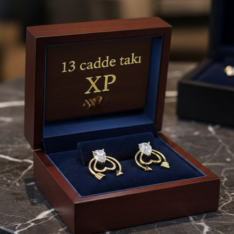 ÇELİK XUPİNG 14K TAŞLI AY MODEL KÜPE