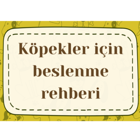Köpek Beslenme Rehberi