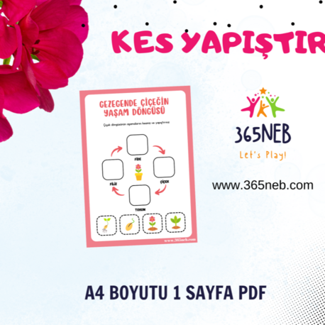 Çiçeğin Yaşam Döngüsü | Okul Öncesi Yazdırılabilir Etkinlik | Kes Yapıştır
