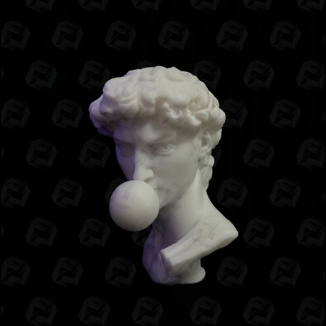 David (Michelangelo) Biblo