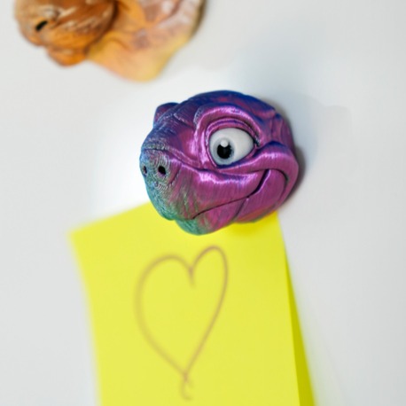 Kaplumbağa Magnet