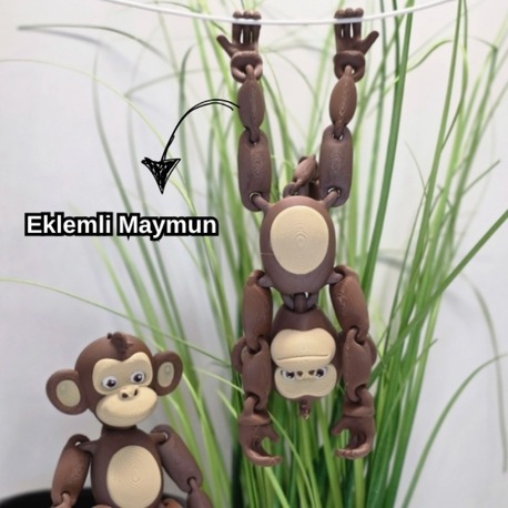 Eklemli Maymun