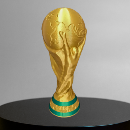10 CM F-I-F-A Word Cup