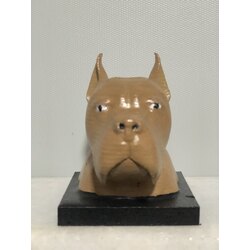 Amerikan Bully Biblo