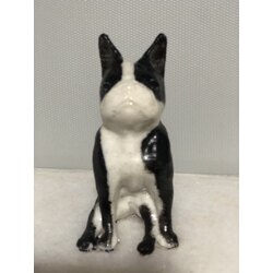 French Bulldog Biblo