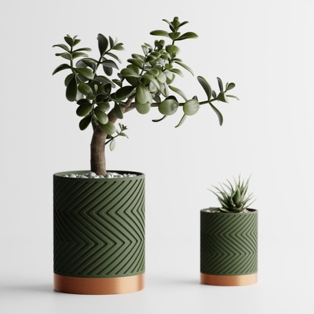 Olea Saksı