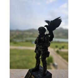 Savaşçı ve Şahin