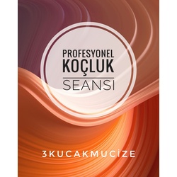 1 SAATLİK PROFESYONEL KOÇLUK SEANSI