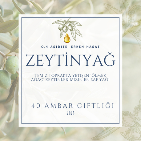 Zeytinyağ 2025 yeni hasat