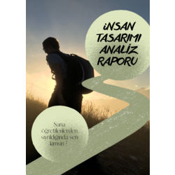 İNSAN TASARIMI ANALİZ RAPORU