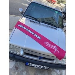 Vice city torpido havlusu 