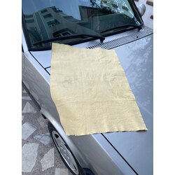 Güderi bezi