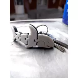 Köpek Balığı