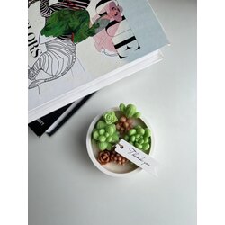 Small terrarium