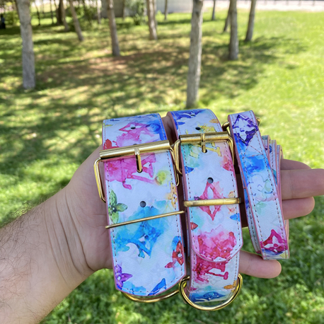 Water Color Louis Vuitton Dog Collar-Leash Set. Desinger Dog Collar Set.