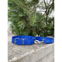 Blue Lv Monogram Dog Collar-Leash Set. Desinger Dog Collar Set.