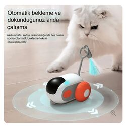 kedi oyuncak araba

