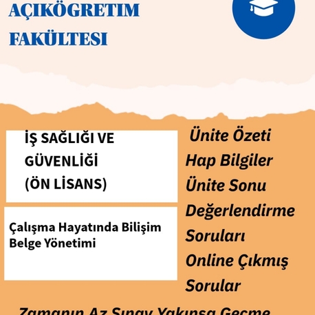 CALISMA HAYATINDA BILISIM VE BELGE YÖNETİMİ 
