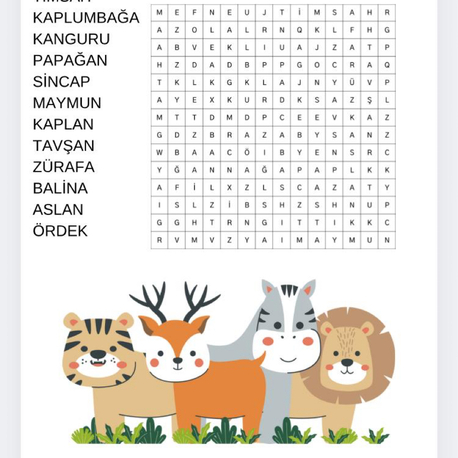 KİŞİYE ÖZEL ETKİNLİK SAYFALARI (CANVA TASARIM)