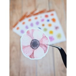 LF53 - Flower & Leaf Temalı Laptop, Notebook, Tablet, Telefon, Ajanda Sticker Seti