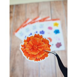 LF29 - Flower & Leaf Temalı Laptop, Notebook, Tablet, Telefon, Ajanda Sticker Seti