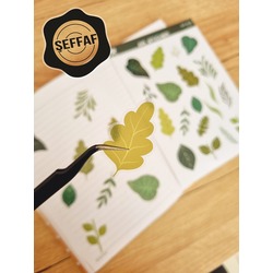 Şeffaf  - LF47 - Flower & Leaf Temalı Laptop, Notebook, Tablet, Telefon, Ajanda Sticker Seti