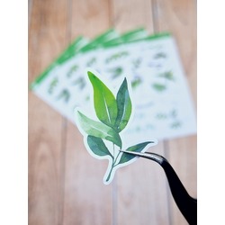 LF04 - Flower & Leaf Temalı Laptop, Notebook, Tablet, Telefon, Ajanda Sticker Seti
