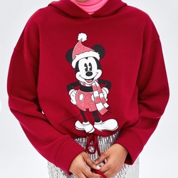 Zara Disney Sweatshirt