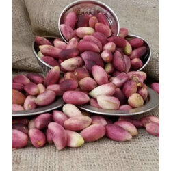 500 gr Taze Antep Fıstığı
