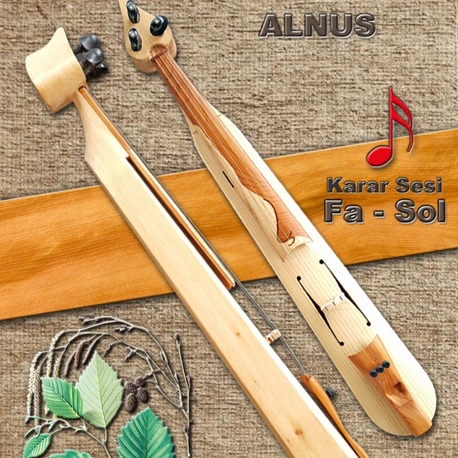 FA - SOL KARAR ALNUS