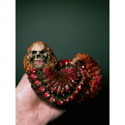 Death Headed Centipede - Red