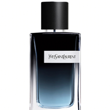 YSL Y 