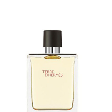 Hermes Terre d’Hermes