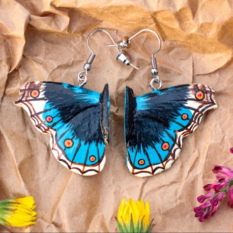 Dicle Güzeli Kelebeği KÜPE (Junonia orithya)
