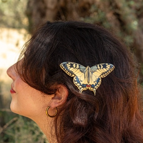 Kırlangıçkuyruk Kelebeği TOKA (Papilio machaon)